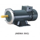 113ZYT series DC motor（NEMA48C and NEMA56C）